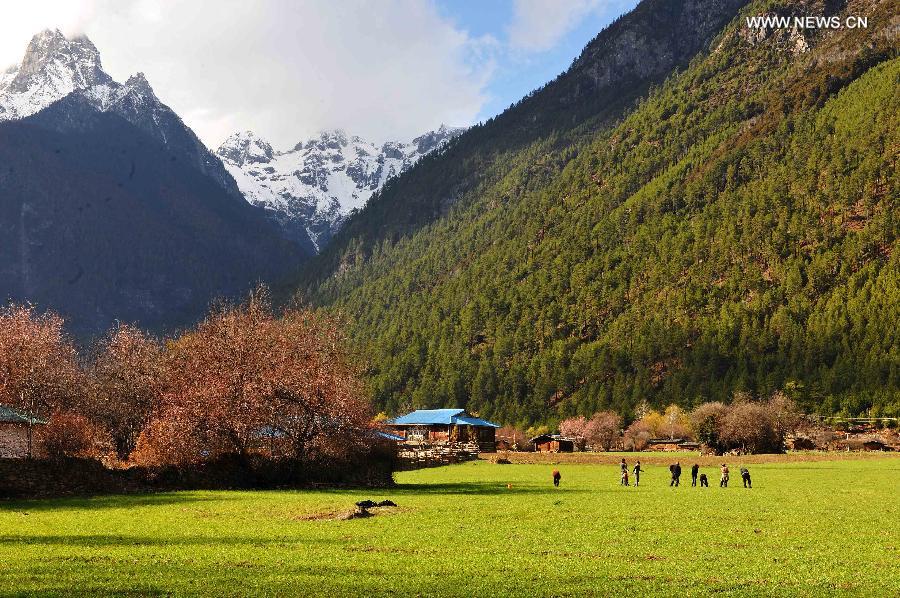 Picturesque spring scenery in Bomi county in Tibet