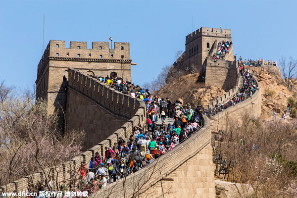 Great Wall offers perfect backdrop for apricot blossom festival