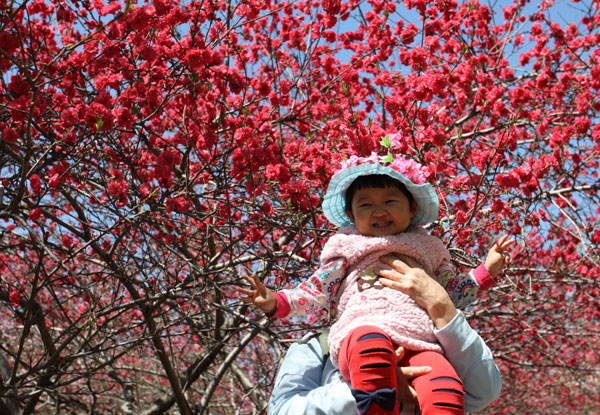 Right at home with flowers in Beijing