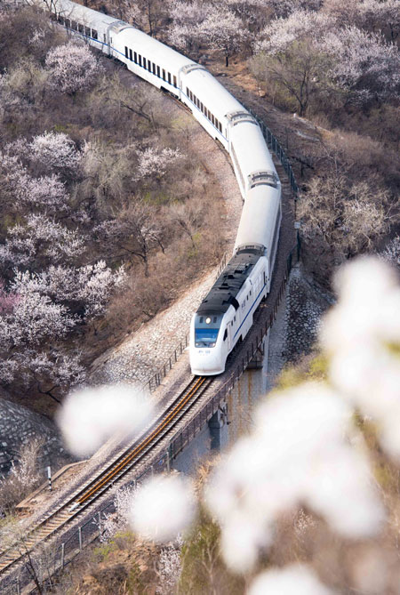 Train photos sizzle on social media