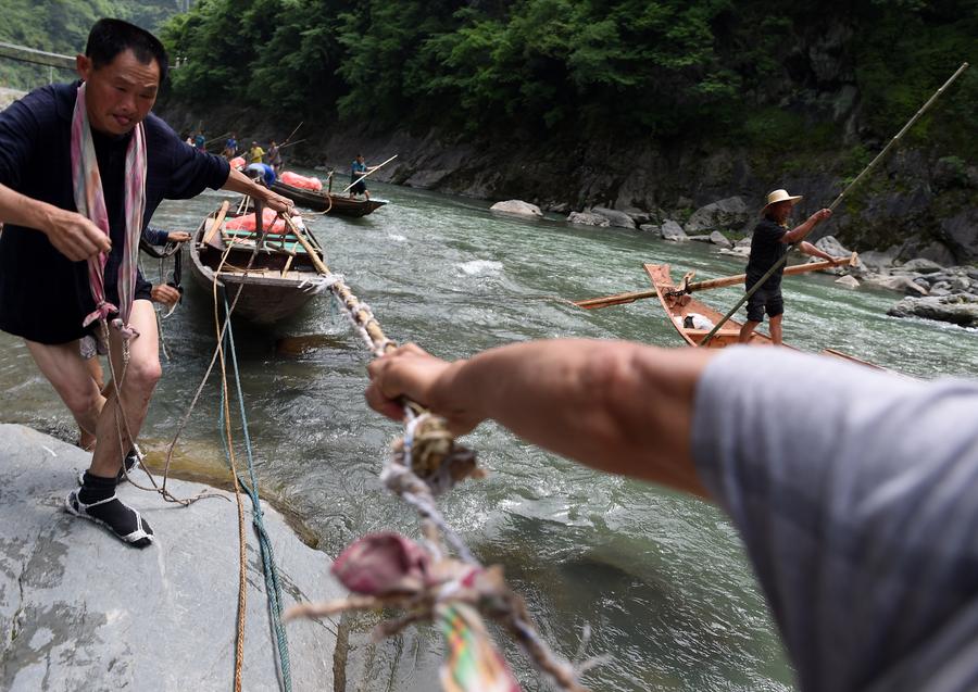 Boat trackers reorganized to tow boats in Shennongxi