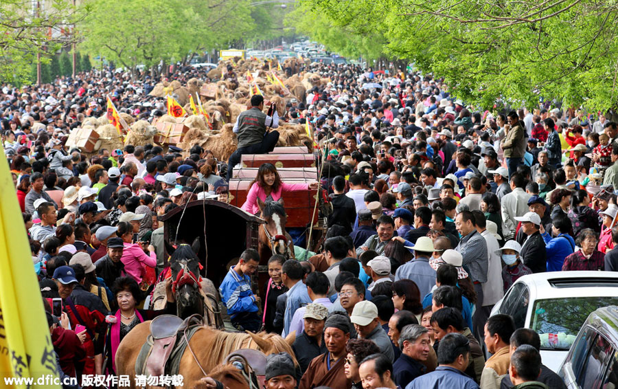 Camel caravan on the Silk Road