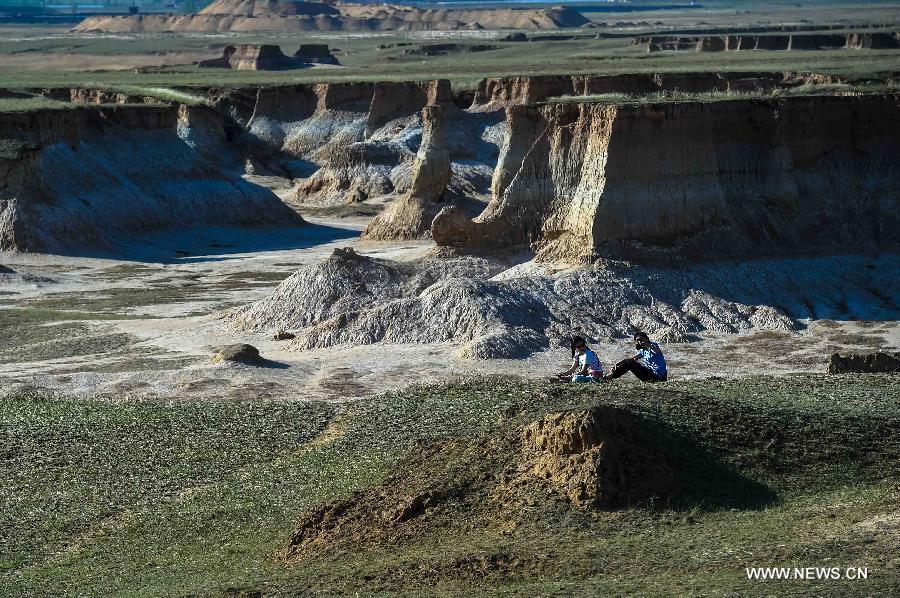 Yadan landform park in N China