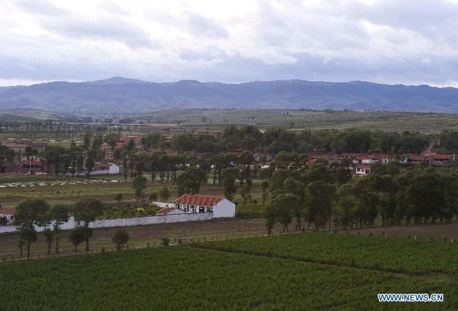 Early summer scenery in Shanxi