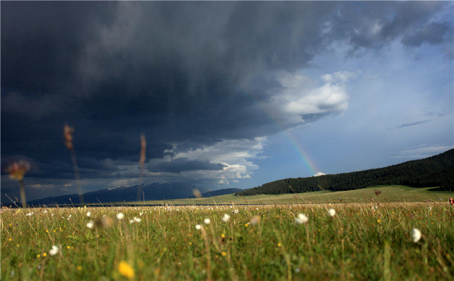 Lovely 'pearl' on the mountain: Sayram Lake