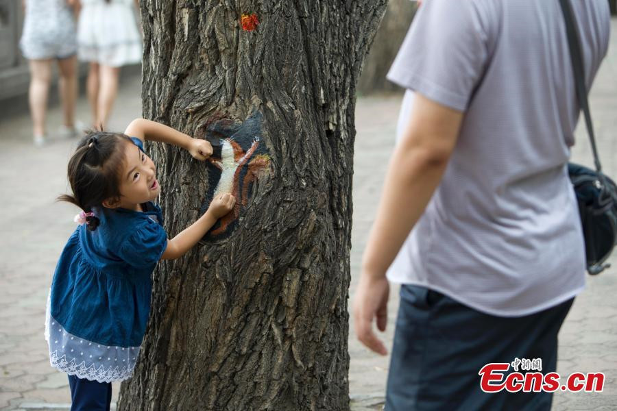 Tree paintings draw tourists to park