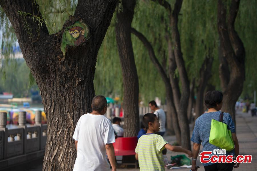 Tree paintings draw tourists to park