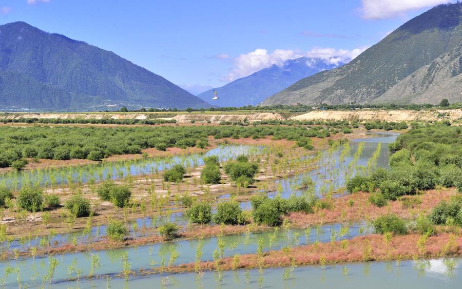 Original beauty is well-maintained in Tibet under 'green development' strategy