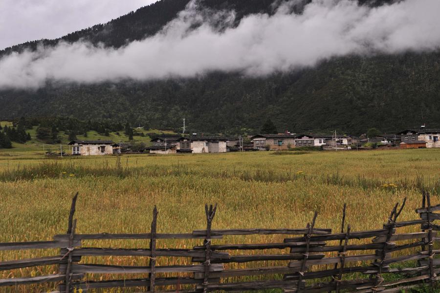 Original beauty is well-maintained in Tibet under 'green development' strategy