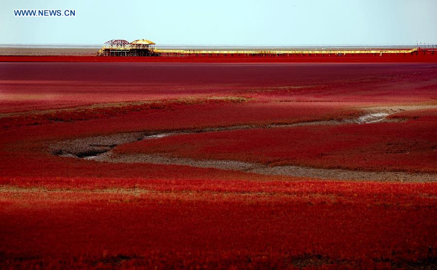 Tourists visit Red Beach in NE China