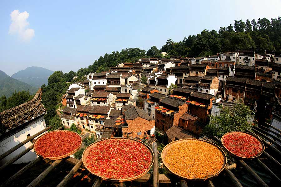 Harvested crops help present a unique autumn scene in Wuyuan ancient town