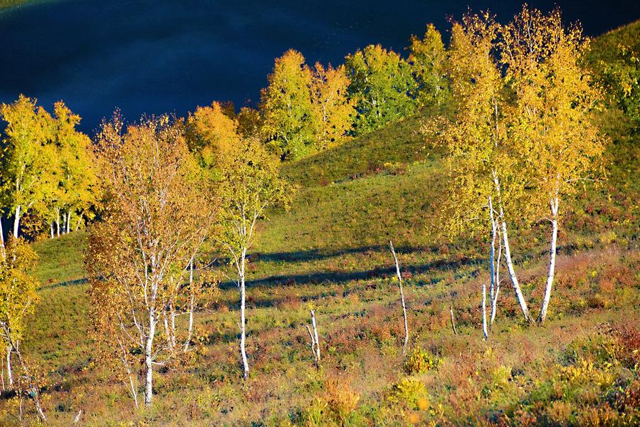 Autumn scenery of Ergun in Inner Mongolia
