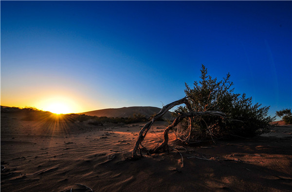 Autumn scenery of 2nd largest desert in China