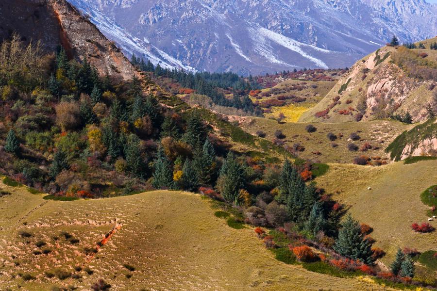 Qilian Mountains, ideal place for an autumn excursion