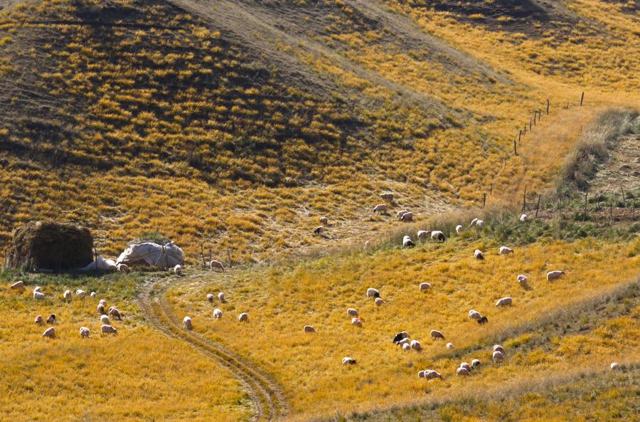 Qilian Mountains, ideal place for an autumn excursion