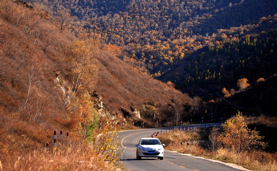 Autumn scene in Daqingshan Nature Reserve[1