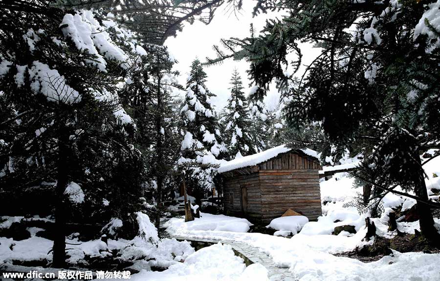 Snow scenery at Luoji Mountain in SW China