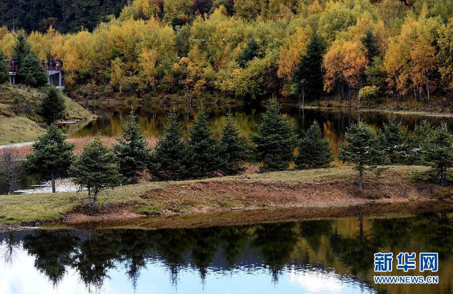 Autumn scenery of China's Shangri-La