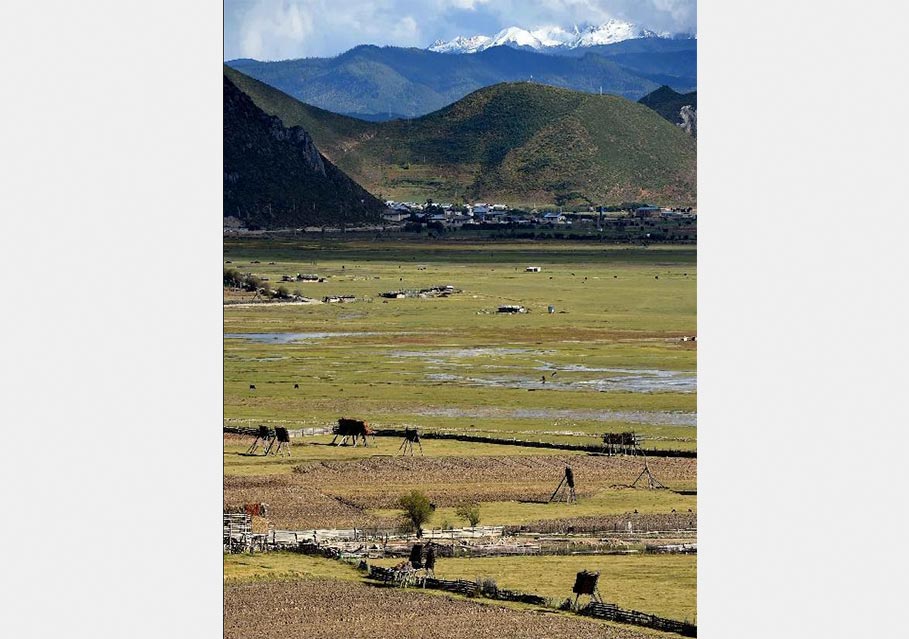 Autumn scenery of Shangri-la