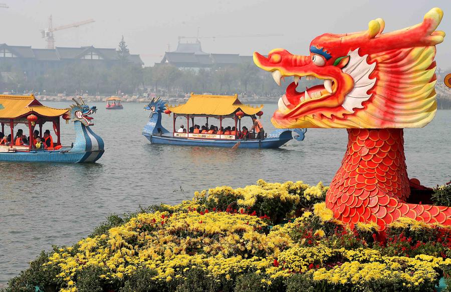 Autumn Chrysanthemums brighten ancient city