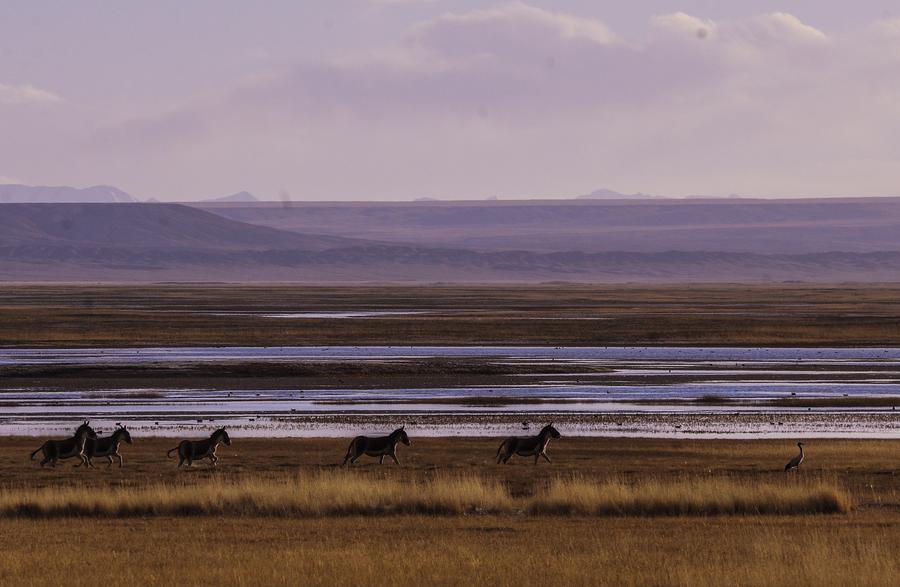 Scenery at Altun Mountains Nature Reserve in X