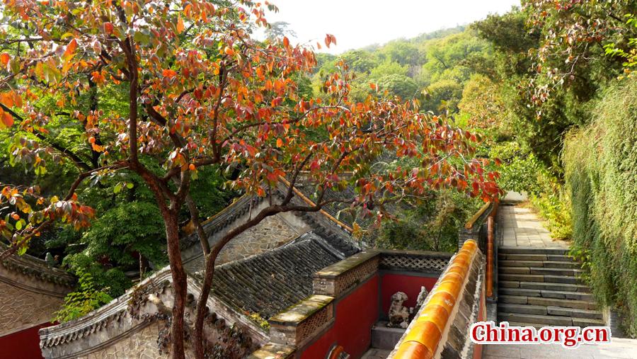 Colorful autumn scenery of Tanzhe Temple