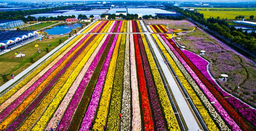Bird's-eye view of colorful landscape in Shanghai