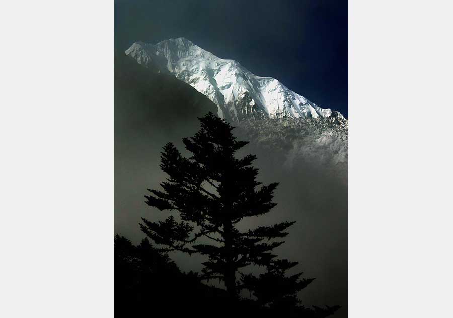 Hailuogou National Glacier Park in SW China