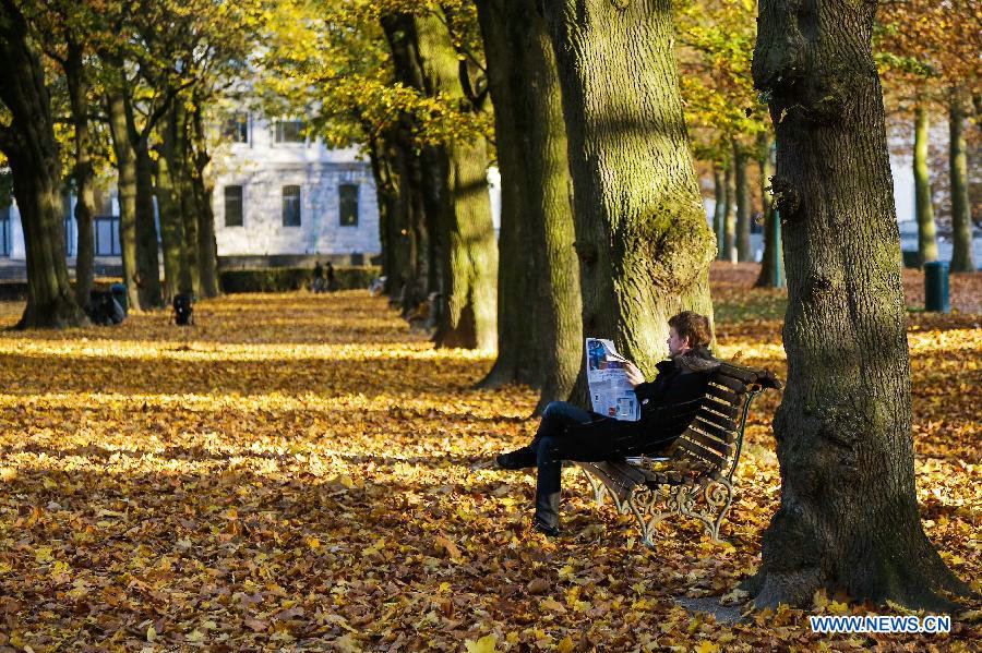 Time for embracing fall in Brussels