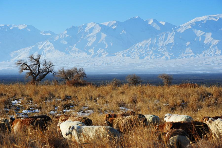 Winter scenery of Tianshan Mountain in Xinjiang