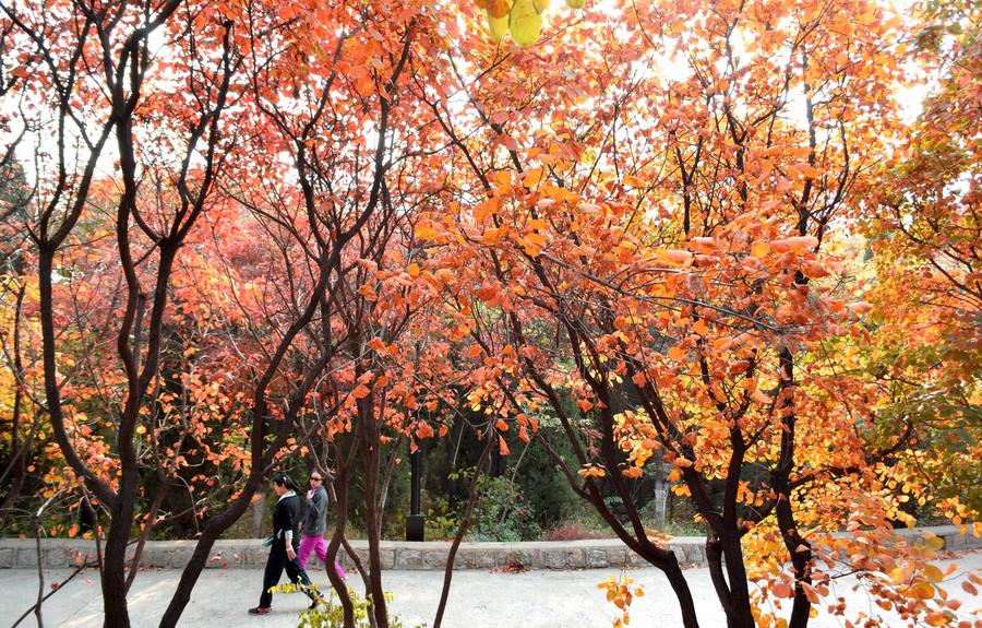 Autumn scenery of Qianfoshan Park in E China