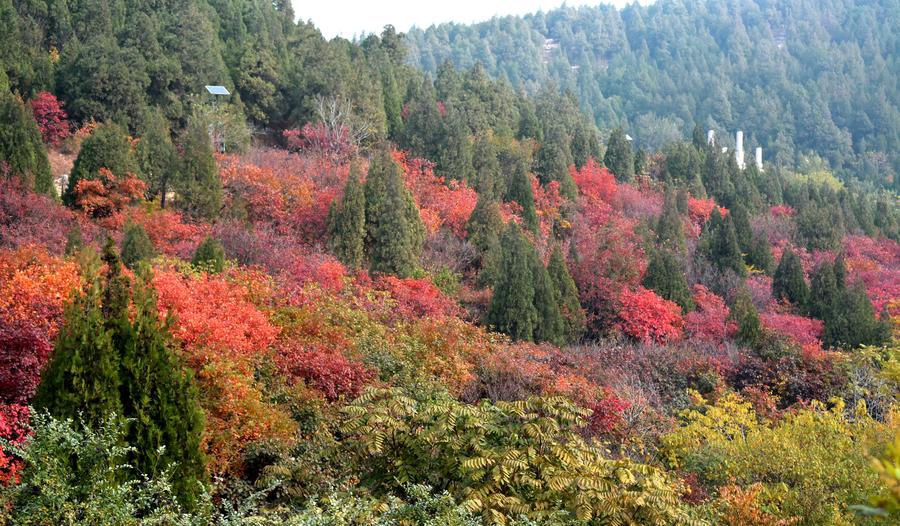 Autumn scenery of Qianfoshan Park in E China