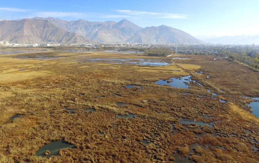 Lhalu wetland: highest natural wetland in China