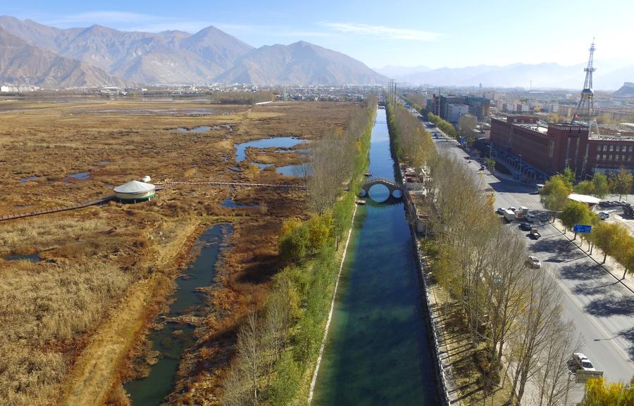 Lhalu wetland: highest natural wetland in China