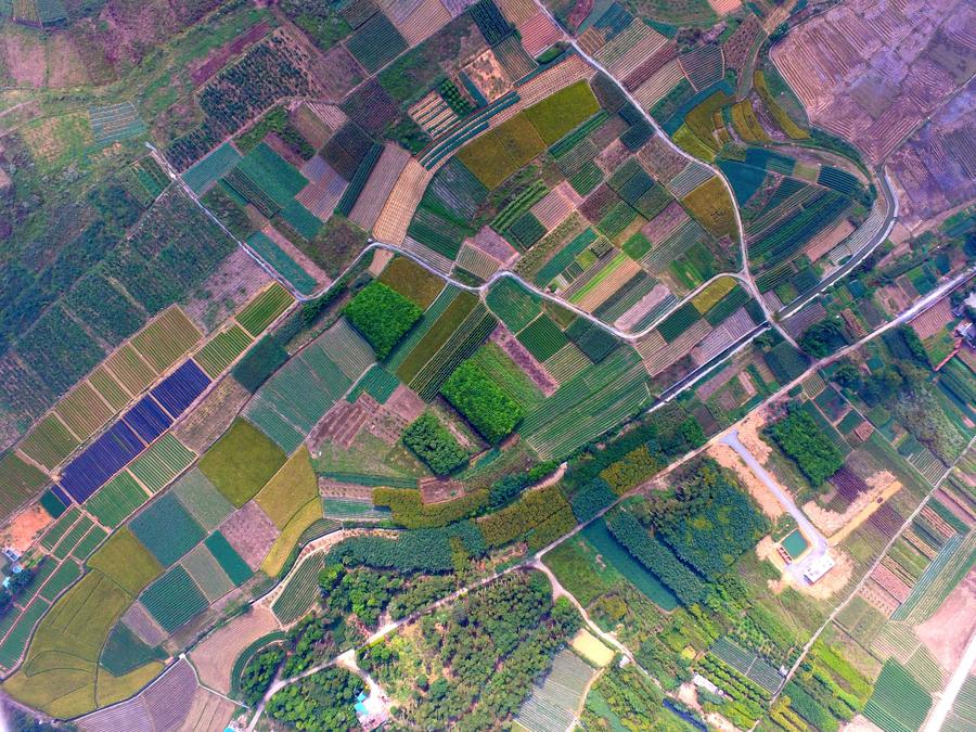 Bird's-eye view of farmlands in Guangxi