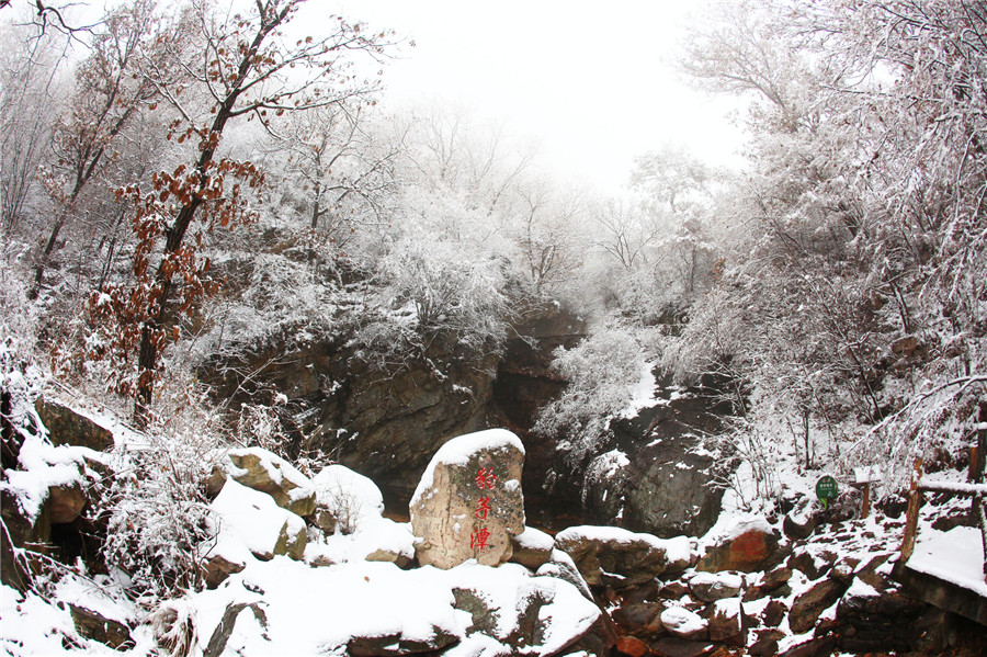 Enjoy snow scenery in Tianjin