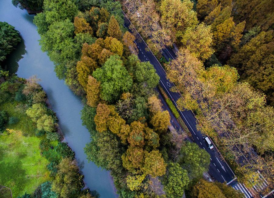 West Lake scenic area embraces a colorful winter scene