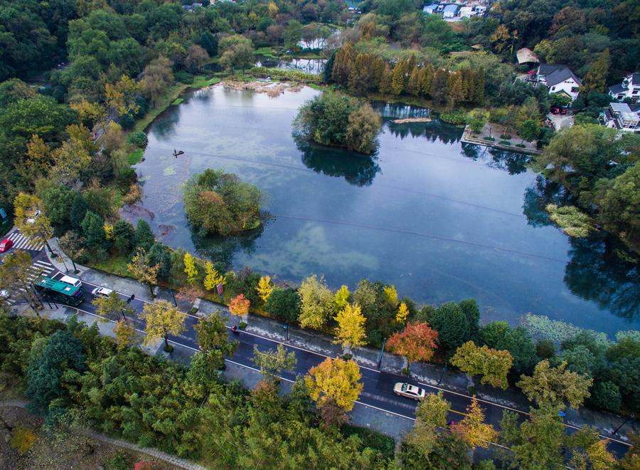 West Lake scenic area embraces a colorful winter scene