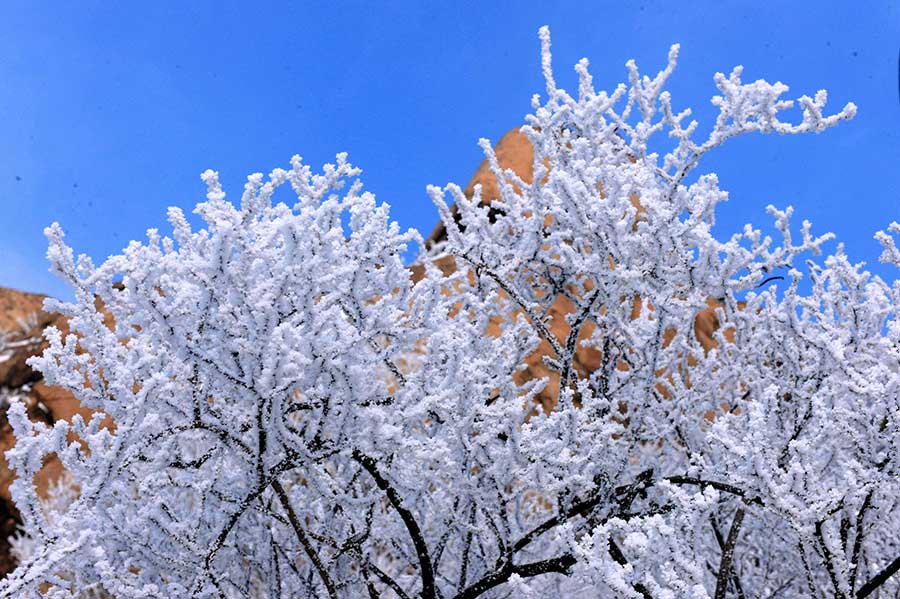 Rime scenery at Lingzhu Mountain in Qingdao