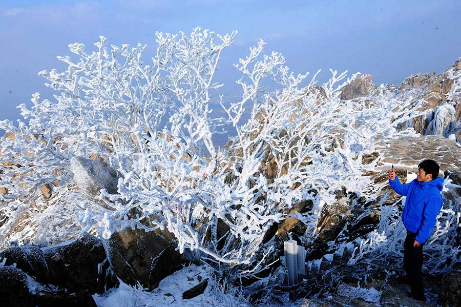 Rime scenery at Lingzhu Mountain in Qingdao