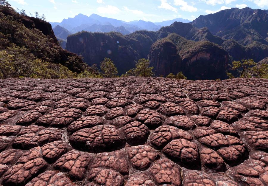 Laojunshan National Park in Yunnan embodies geology, stunning landscape