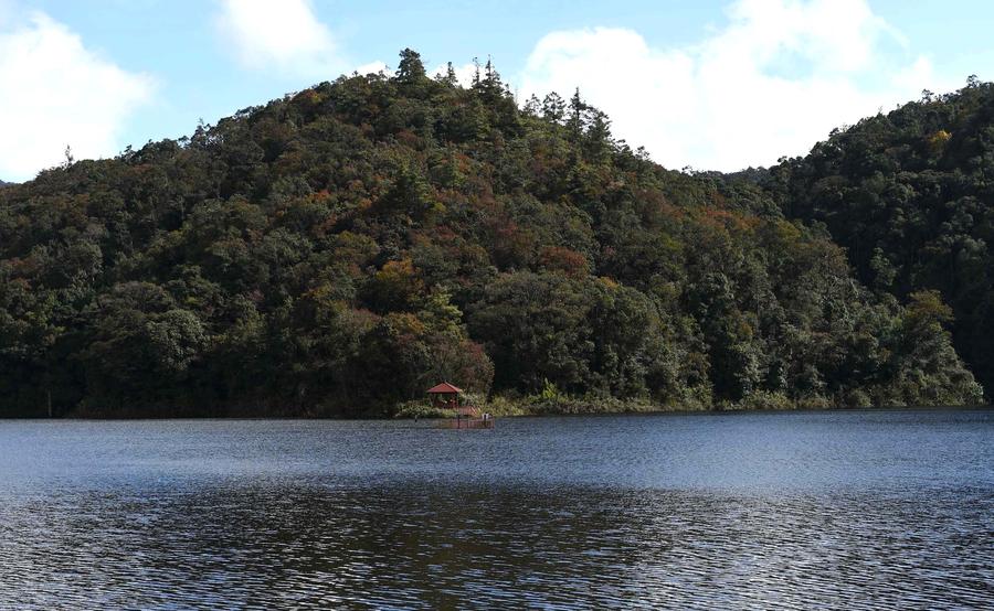 Winter scenery of the Ailao and Wuliang Mountain Nature Reserve