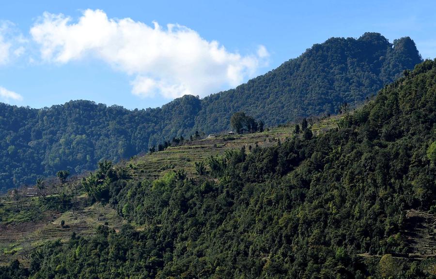 Winter scenery of the Ailao and Wuliang Mountain Nature Reserve