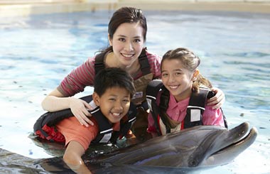 More Chinese are setting foot in 'the boot'[1]- C