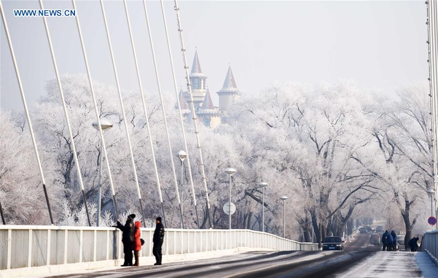 Rime scenery in NE China