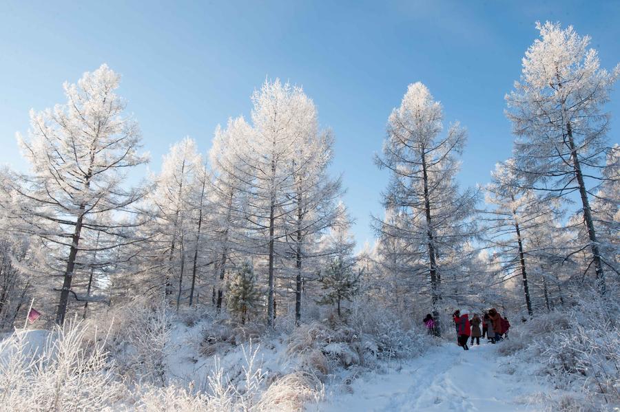 The Greater Khingan range in winter