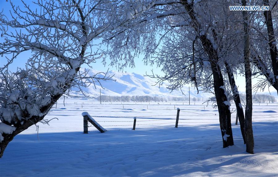 Gorgeous rime scenery in China's Xinjiang