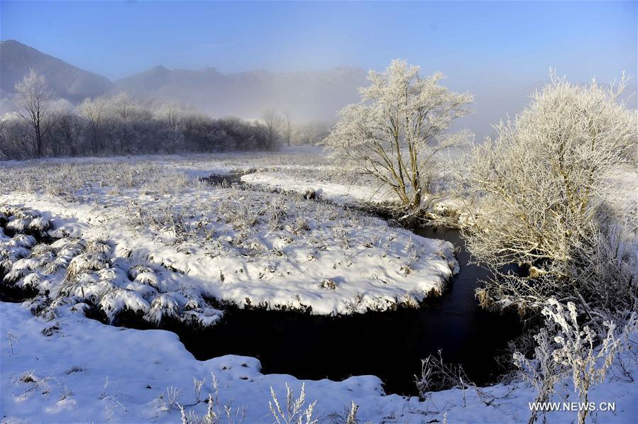 Snow scenery of Dajiuhu National Wetland Park in Hubei