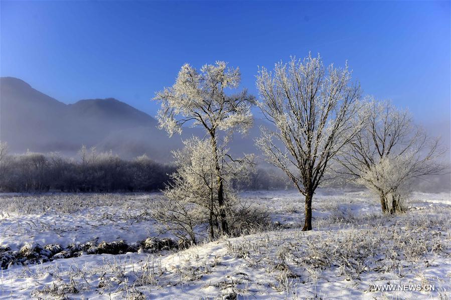 Snow scenery of Dajiuhu National Wetland Park in Hubei