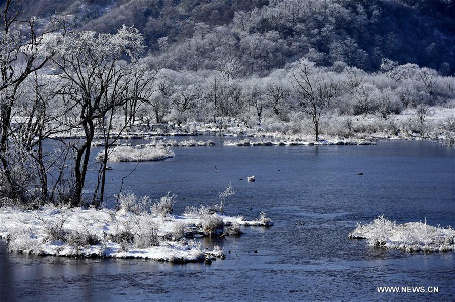 Snow scenery of Dajiuhu National Wetland Park in Hubei